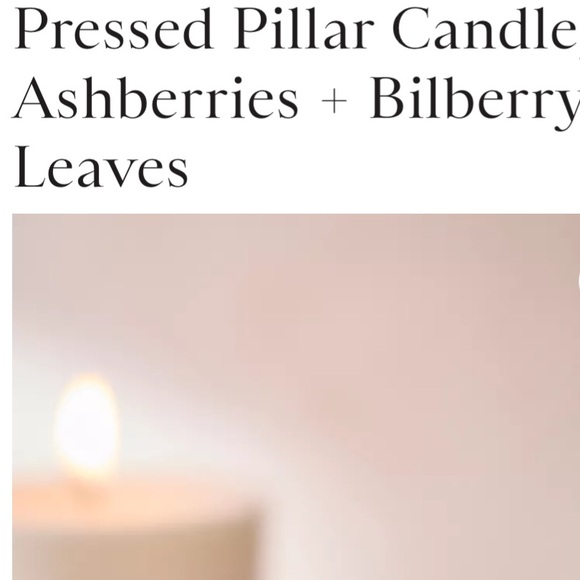 Ashberry and Bilberry leaves pressed pillar - Picture 5 of 7